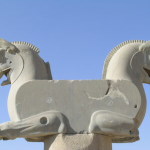 Homa Oiseau de bonheure Sclupté en bois 50x30x15 - Image 10